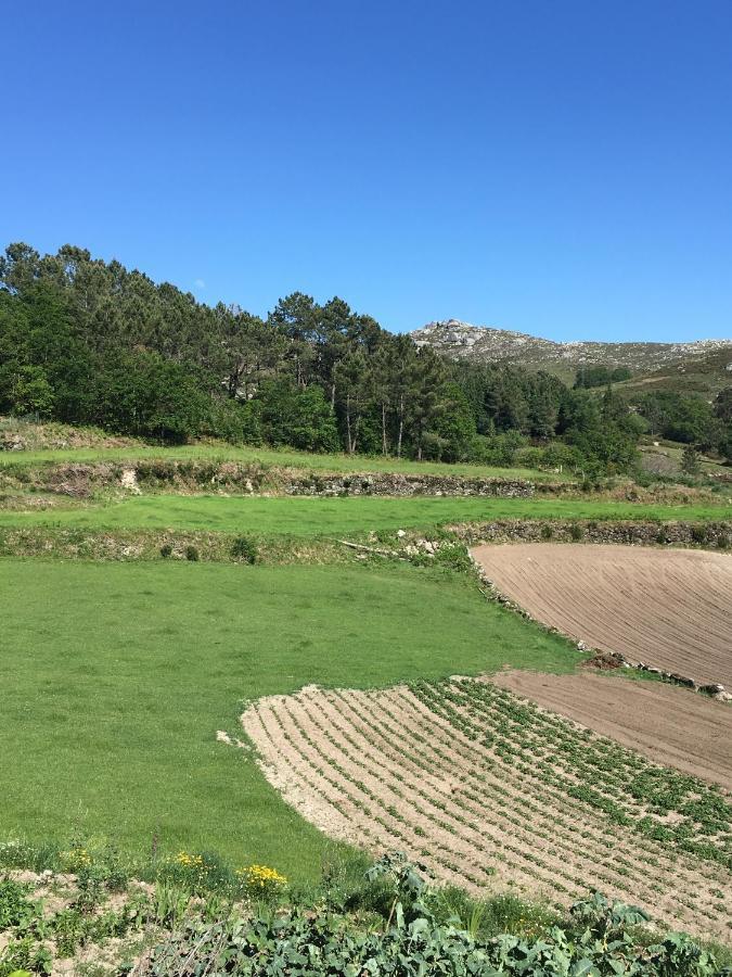 Casa Dos Bernardos Lejlighed Terras de Bouro Eksteriør billede