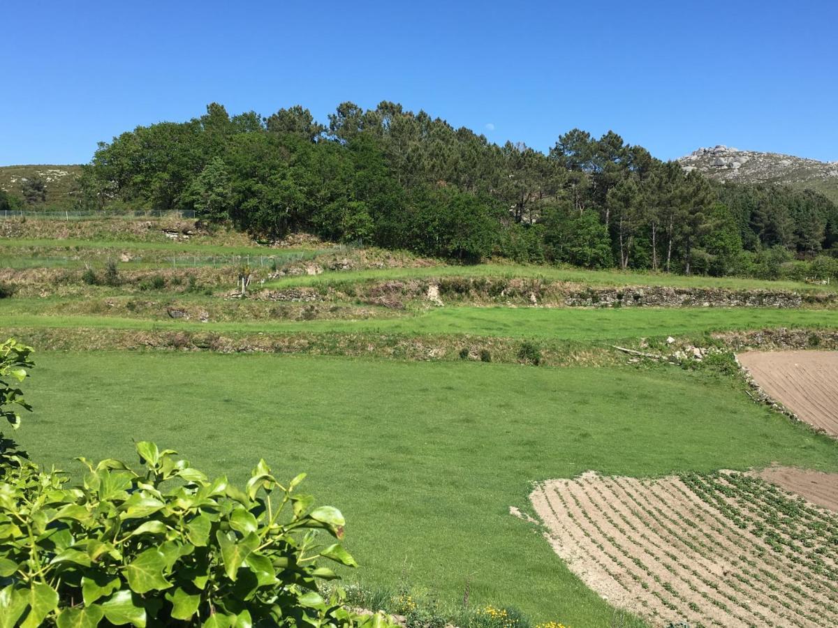 Casa Dos Bernardos Lejlighed Terras de Bouro Eksteriør billede
